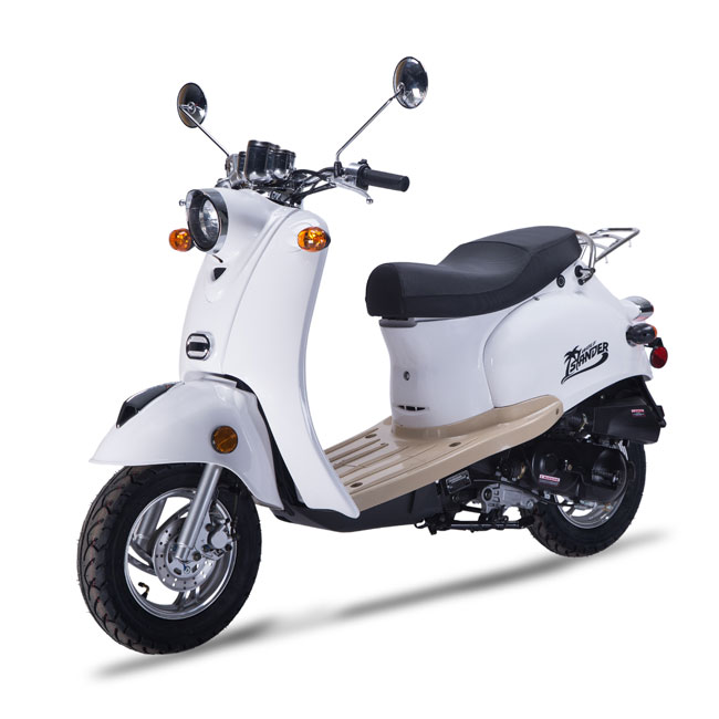 WOLF ISLANDER - Image 6